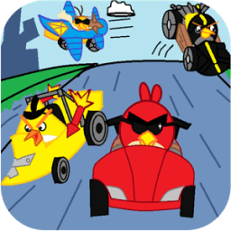 Angry Race Adventure icon