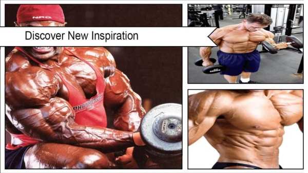 Bodybuilding Workout screenshot 4