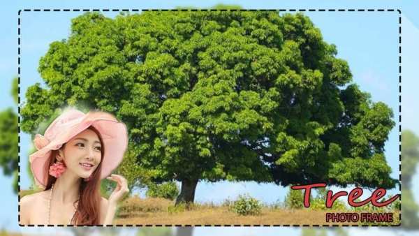 Transparent Tree Photo Frames screenshot 5