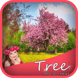 Transparent Tree Photo Frames иконка