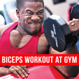 Biceps Workout at Gym أيقونة