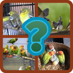 JAWABAN TEBAK GAMBAR иконка