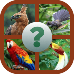 TEBAK GAMBAR BURUNG иконка