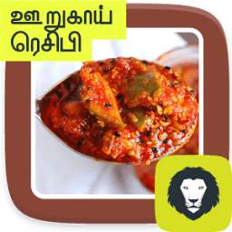 Pickle Recipes In South India Tamil Urugai Achar