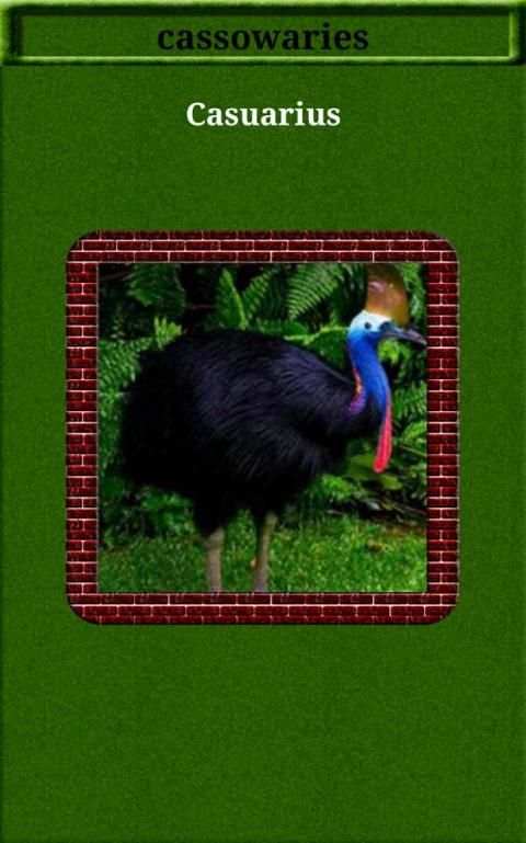 75-Birds Sound screenshot 1