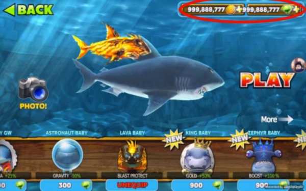 Cheat Hungry Shark Evolution screenshot 1