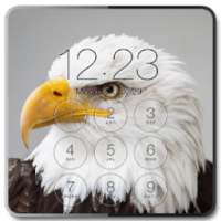 Eagle Lock Screen Background