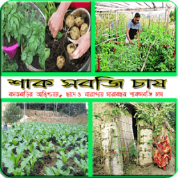 ছাদে, বারান্দায় ও বাড়িতে শাক সবজি চাষ (কৃষি টিপস) أيقونة