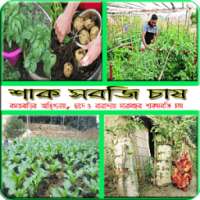 ছাদে, বারান্দায় ও বাড়িতে শাক সবজি চাষ (কৃষি টিপস) on 9Apps