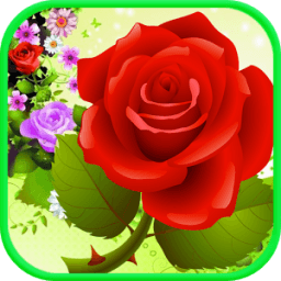 ikon Bubble Shooter Rose