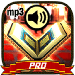 İnternetsiz Kuranı Kerim Dinle иконка