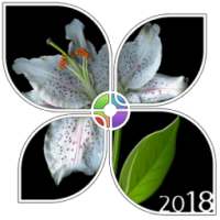 Shiny Absolute Black Theme on 9Apps