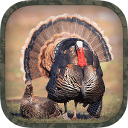 Turkey Hunting Calls أيقونة