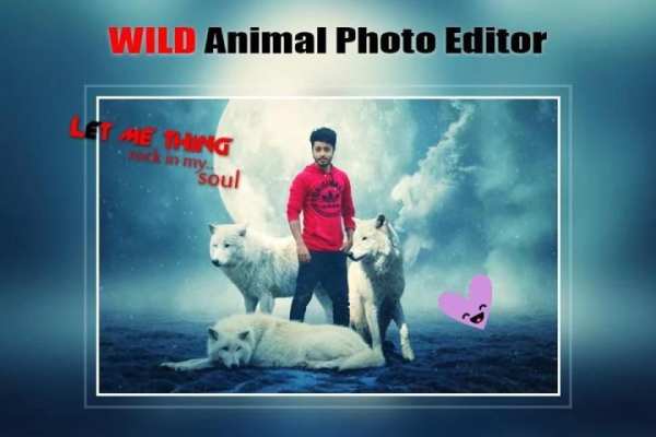 Wild Animal Photo Editor : Frame, Sticker, Effect скриншот 2