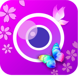 YouCam Perfect 2018 icon