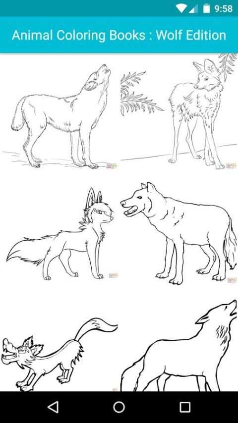 Animal Coloring For Children : Wolf Edition screenshot 4