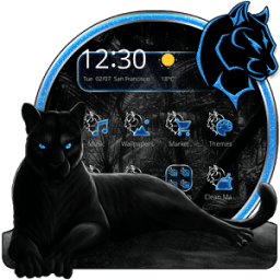 ikon Spiteful Black Pantera Theme