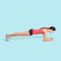 Plank Exercise Guide