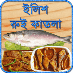 রুই কাতলা ইলিশ মাছের রেসিপি ~ Bangla Recipes icon
