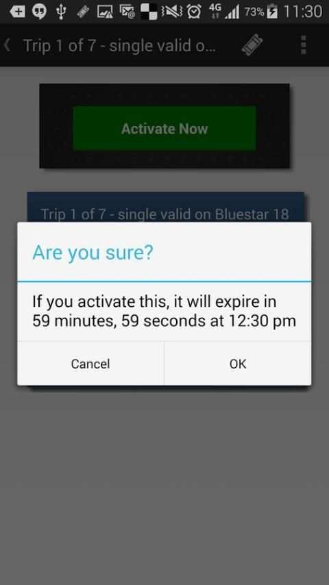 Bluestar bus screenshot 2