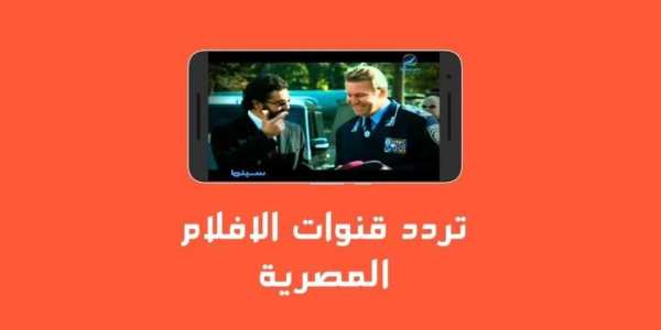 ترددات القنوات المصرية скриншот 1