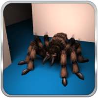 Spider Maze Tactical Action