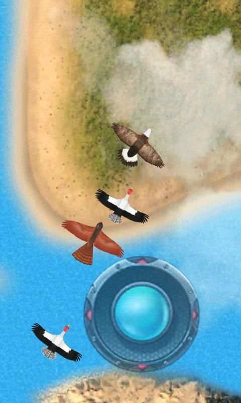 Birds Fight screenshot 3