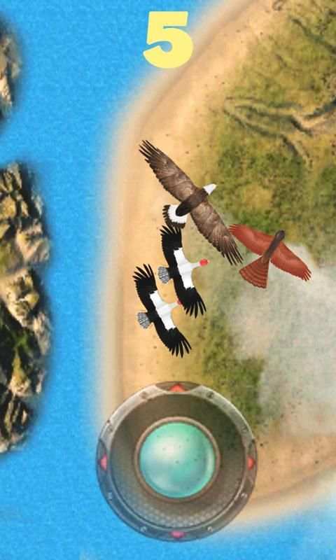 Birds Fight 4 تصوير الشاشة