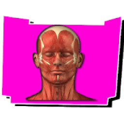 Human Body Anatomy आइकन