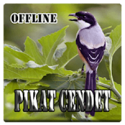 Kicau Burung Cendet Pikat icon