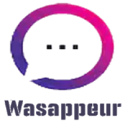 wasappeur icon