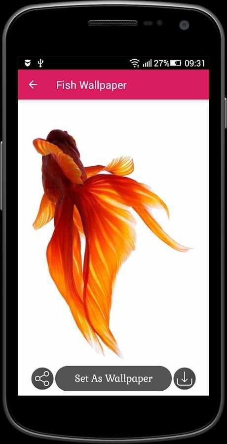 Fish Wallpaper screenshot 2