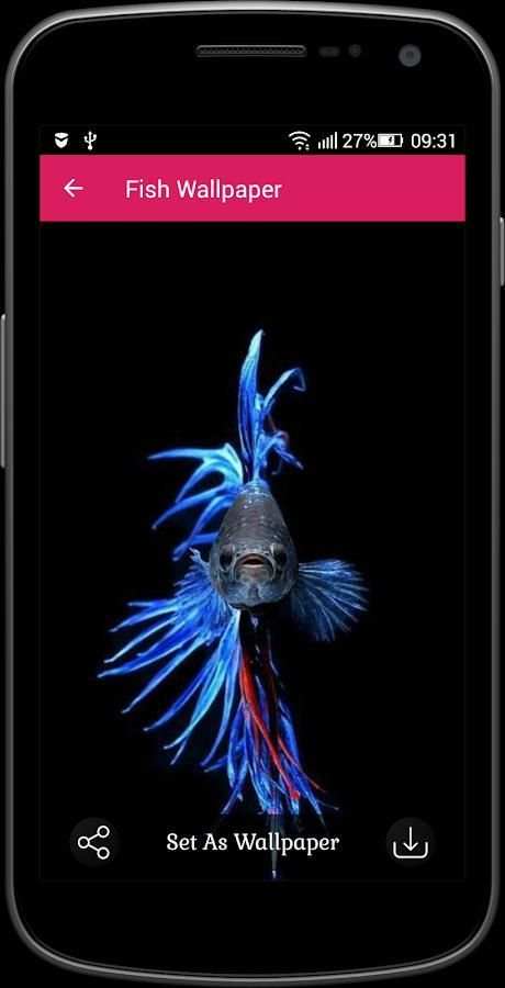 Fish Wallpaper screenshot 1