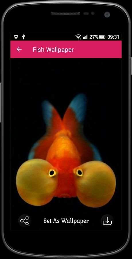 Fish Wallpaper screenshot 3