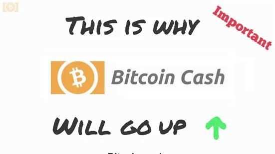 Bitcoin Cash Mining screenshot 4
