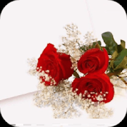 ikon Best Romantic Love Quotes