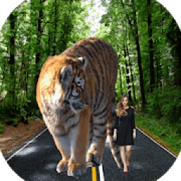 ikon Big Picture Camera