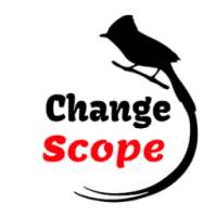 Change Scope on 9Apps