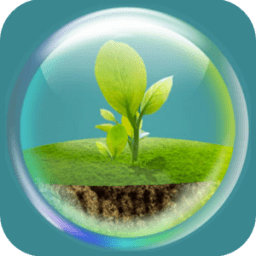 ikon Life Timer - How To Live 10 Years Longer