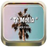 ARNON - Te Molla