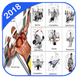 Chest Workout आइकन