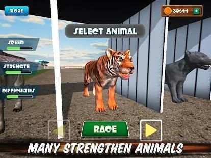 The Animal Racing स्क्रीनशॉट 2