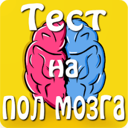 Тест на пол мозга आइकन