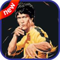 Bruce Lee Wallpapers HD 4K on 9Apps