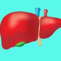liver treatment on 9Apps