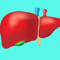 liver treatment