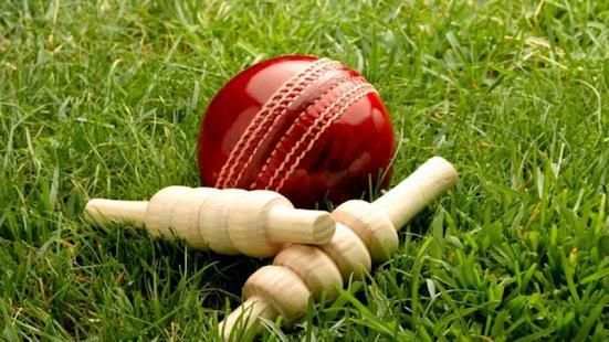 Cricket Buzz स्क्रीनशॉट 1