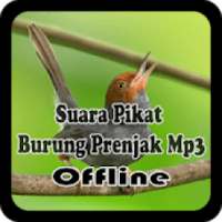 Suara Pikat Burung Prenjak Mp3 Offline on 9Apps