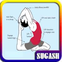 Yoga Guide for Beginners