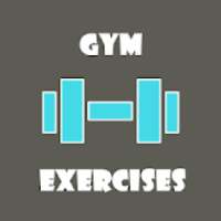 Gym Exercises And Workouts Free